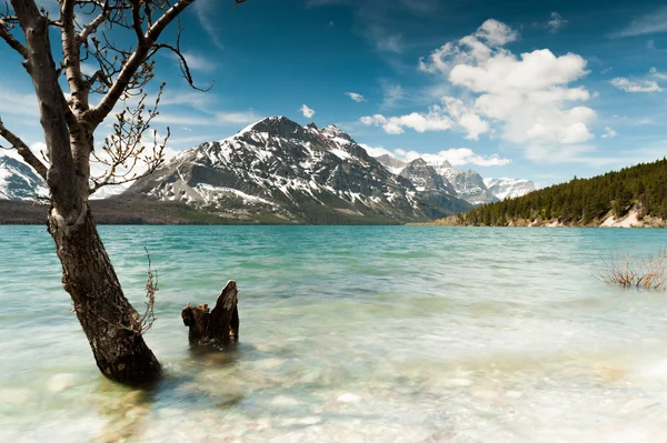 St. Mary Lake scenic view — Stock Photo, Image