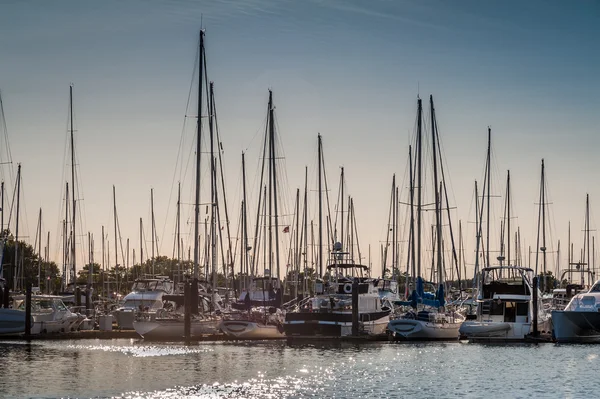 Fullsatt masterna i Point Roberts marina — Stockfoto