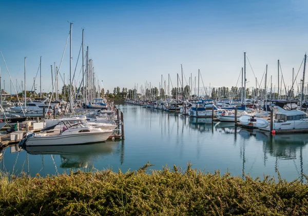 Segelbåtar och yachter förankrad i marina — Stockfoto