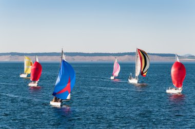 Port Townsend, yelkenli yarış