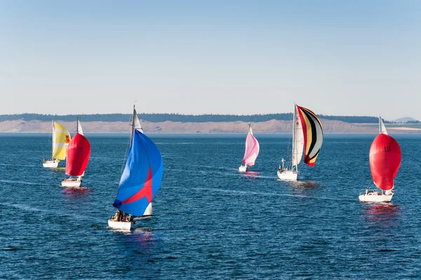 Corrida de veleiros em Port Townsend — Fotografia de Stock