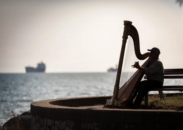 Musician harpist silhouette — Stock Photo, Image