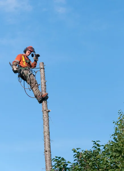 Madera profesional que corta el árbol en la parte superior con una cadena — Foto de Stock