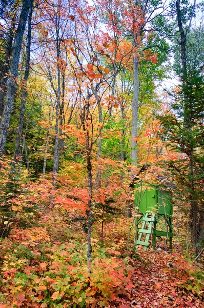 Cabana de caçador verde no outono — Fotografia de Stock