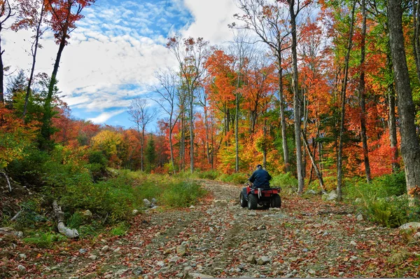 Uomo anziano cavalcando un quad ATV — Foto Stock