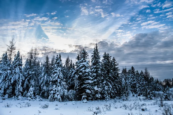 Paisaje nuboso y escena de invierno — Foto de Stock