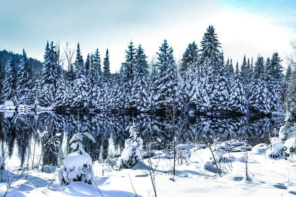 Vinterlandskap i utlandet - en innsjø – stockfoto