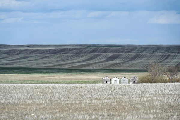 Hilly fields of Canadian Prairies and old barns — Stock Photo, Image