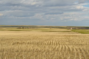 buğday alan ve Kanada prairies küçük köy