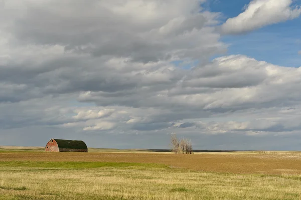 Vista panorâmica do campo de trigo e celeiro — Fotografia de Stock