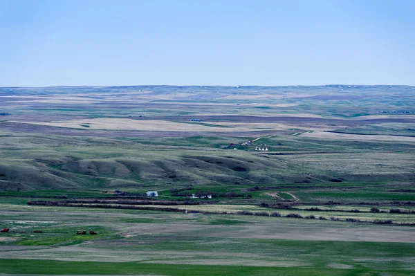 Farmland green fields in Grassland National Park, — Stock Photo, Image