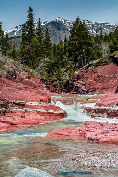 红色岩溪和峡谷 — 图库照片