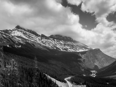  Columbia Icefield from Icefields Parkway