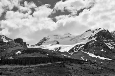 Mount Athabasca doğal görünümü