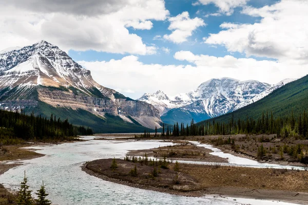 Athabasca River sluit weergave met Columbia-ijsveld — Stockfoto