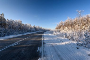 Sibirya 'da kışın kırsal yol. Yol boyunca ağaçlar karla kaplı.