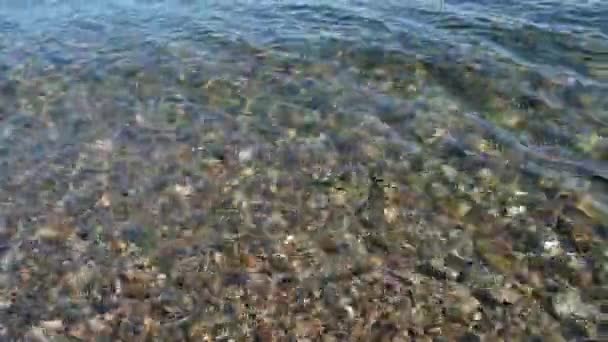 Çakıl taşlı göl yatağı. Baykal Gölü 'nün berrak, şeffaf, doğal arka planında görünüyor. — Stok video