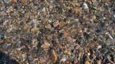 Çakıl taşlı göl yatağı. Baykal Gölü 'nün berrak, şeffaf, doğal arka planında görünüyor.