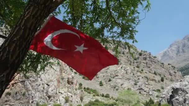 Turkiska flaggan viftar mellan träd och berg på blå himmel blåsig bakgrund. — Stockvideo