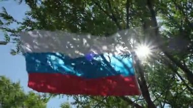Rusya 'nın ulusal bayrağı rüzgarda dalgalanıyor mavi gökyüzündeki ağaçların arasında güneş ışınlarıyla