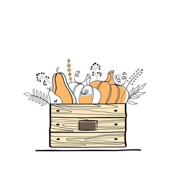 Vector Stock Illustration Box Mit Kürbissen Und Herbstfrüchten — Stockvektor