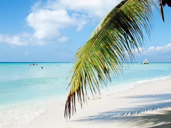 Tropical beach, Dominikai Köztársaság. Karib-tenger. — Stock Fotó