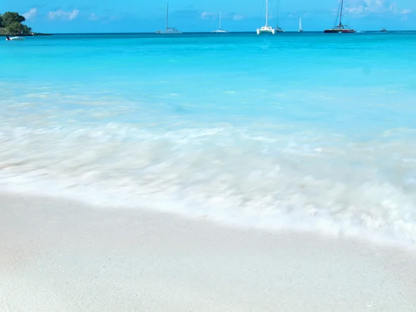 Morskiego Krajobrazu Plaży Carribian Domenicana — Zdjęcie stockowe