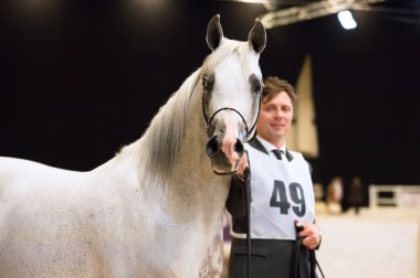 Saint-Petersbugr-gerçekleştirilecektir 30: Saint-Petersburg uluslararası Kupası E