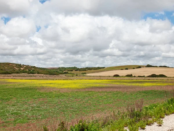 Över Grönt Landsbygdsområde Mot Molnen Himlen Spanien Andalusien — Stockfoto