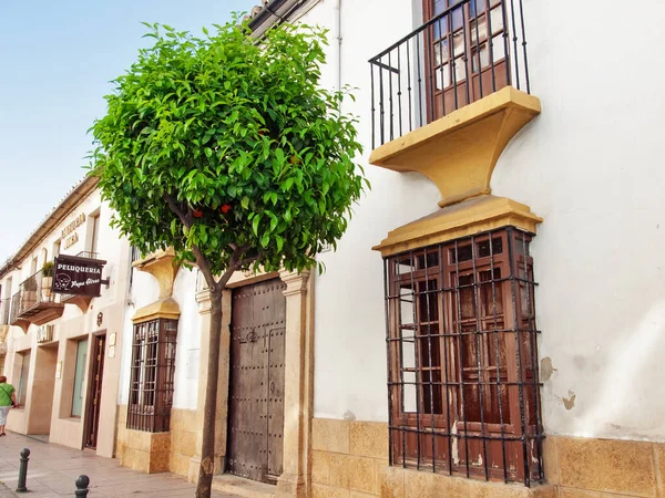 Antigua Calle Con Casas Típicas Tagerino Ciudad Ronda Andalucía España —  Fotos de Stock