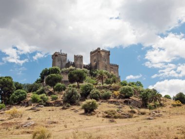 Almodovar del Rio, Cordoba, Endülüs kalesinde panoramik manzara. İspanya