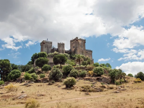 Panoramic View Castle Almodovar Del Rio Cordoba Andalusia Spain — Stock Photo, Image