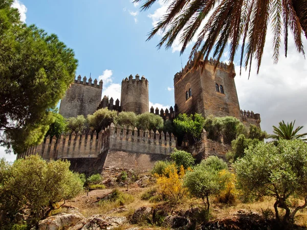 View Low Castle Almodovar Del Rio Cordoba Andalusia Spain — Stock Photo, Image