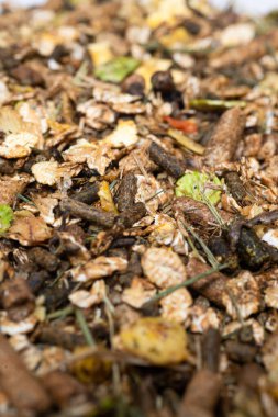  Doğal spor müsli ve granüller. At için. Beslenme kavramı