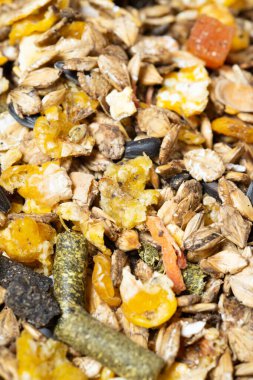 Mısır gevreği ve spor atı için doğal müsli arkaplanı. Besleyici binicilik konsepti. Kapat.