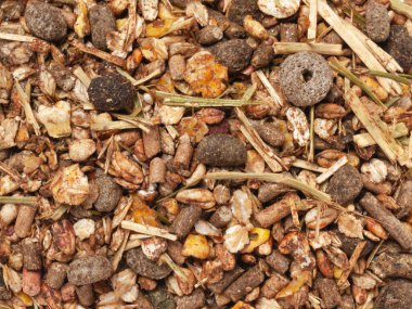 Sportif atlar için seçkin müsli geçmişi. Düz yat. Kapat.