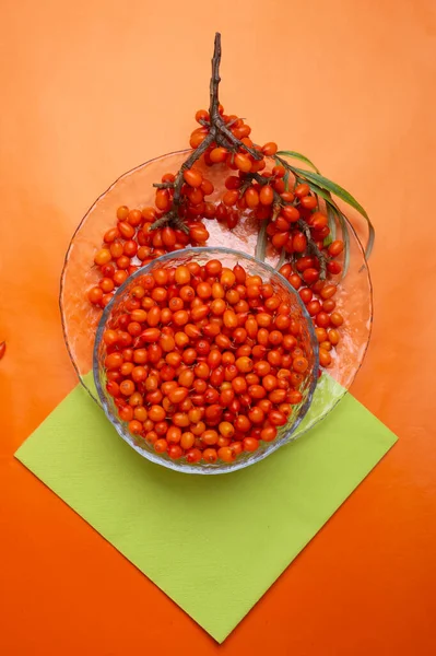 Mûrs Baies Argousier Avec Une Branche Autour Fond Orange Pose — Photo