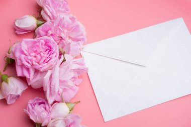 Beyaz zarflı pembe güller ve pembe arka planda badem kurabiyeleri. Yaşam tarzı konsepti. düz yat