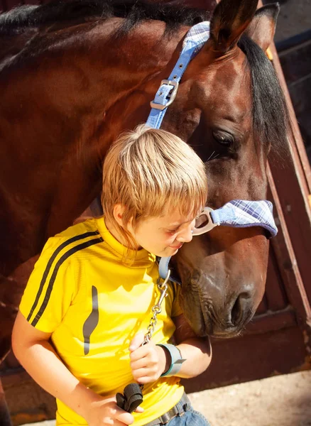 Šťastný Portrét Malého Chlapce Koněm Pózujícím Stáji Slunečný Den — Stock fotografie