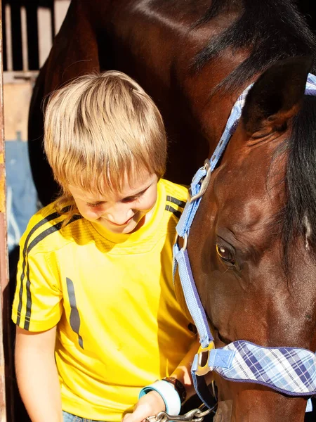 Gelukkig Portret Van Kleine Jongen Met Paard Poseren Stal Zonnige — Stockfoto