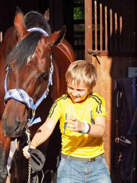 Riéndose Bonito Niño Con Caballo Establo —  Fotos de Stock