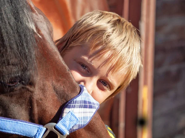 Menino Bonito Com Cavalo Estábulo — Fotografia de Stock