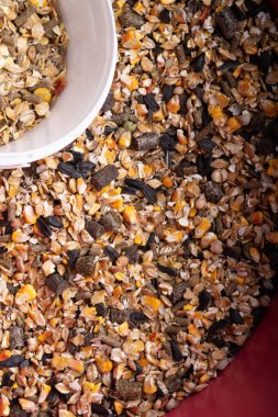 Atlar için temel beslenme müsli. Beslenme ve at bakımı konsepti. Makro. en üstteki görünüm