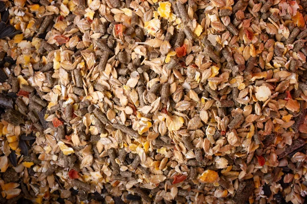 Achtergrond Van Speciale Muesli Granulaat Voor Paarden Doe Dicht Voeding — Stockfoto