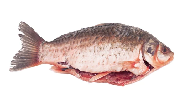 新鲜的内脏的鱼上白色孤立 — 图库照片