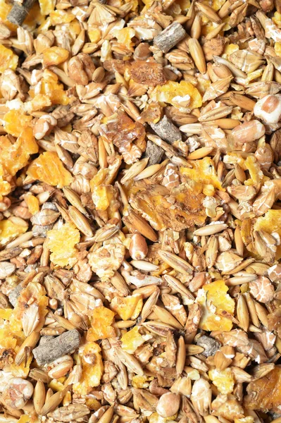 Natural sportive  muesli background. for horse.close up — Stock Photo, Image