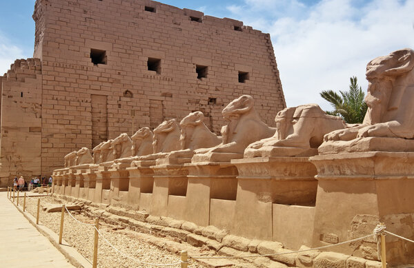 ancient egypt statues of sphinx in Luxor karnak temple