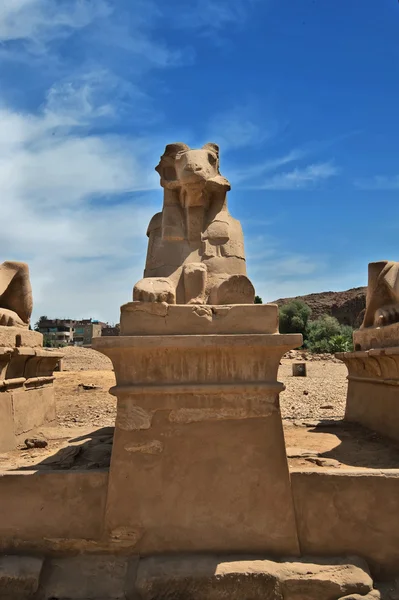 Ancienne statue égyptienne de sphinx dans le temple karnak de Louxor — Photo