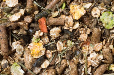  doğal müsli arka plan. at için. Makro