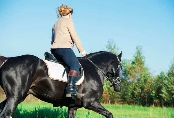 Caballo de doma negro con jinete en el campo — Foto de Stock